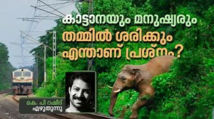 കാട്ടില്‍പ്പാര്‍ക്കുന്ന ആനകള്‍ക്ക് നാട്ടിലെന്താണ് കാര്യം?