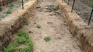 4.8K views · 58 reactions | Garden Tips: "Weed Suppression" Using Hay...
