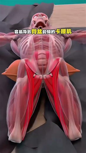 经常久坐小肚子突出大腿粗这个动作值得一试！#一起来锻炼 #纠正体态 #骨盆前倾 #拉伸放松肌肉