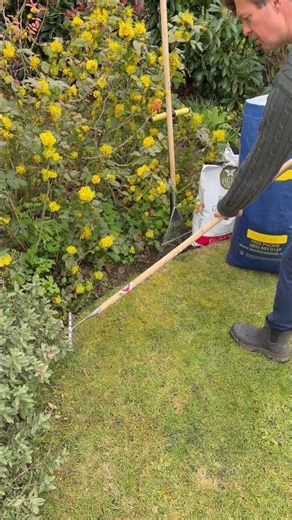 Four Steps to Lush Lawn