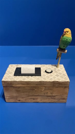 Beatriz Cortez : The Fortune Teller Machine, 2015 | New Museum