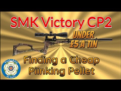 SMK CP2 Finding a Cheap Plinking Pellet #airrifleshooting #snowpeakArtemisCP2 #airgun #victorycp2