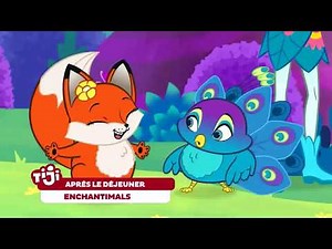 Après le dej, découvre Echantimals, un petit goût de paradis ! Le 24 décembre à 13h15 !