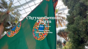 1.7K views · 72 reactions |  Be transported to the open grasslands...