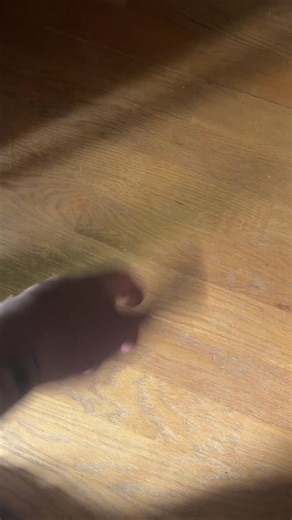 Miles-Darnell Jones (@milesdarnelljones)’s videos with original sound - Miles-Darnell Jones