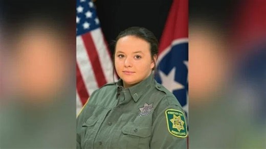 Tennessee to launch first-in-the-nation domestic violence offender registry Jan. 1