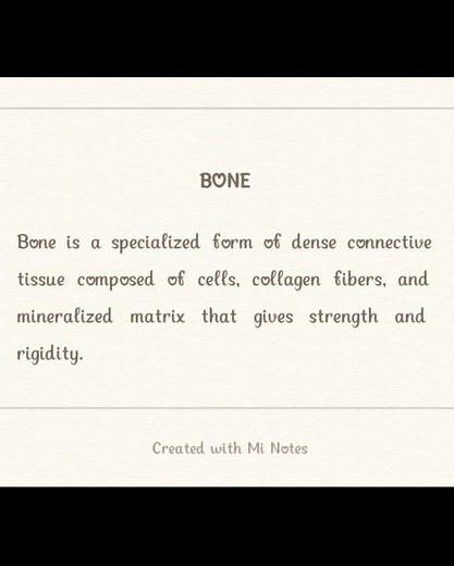 what is bone #bones #definition #educational