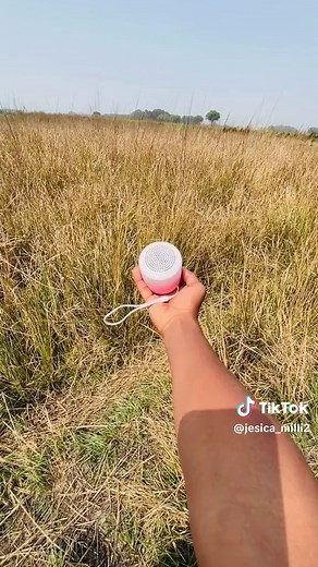 JBL Speakers Durability Test: Performance Under Pressure