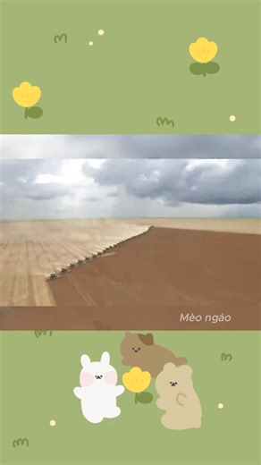 Tổng tiến công cánh đồng ngô | #catmemes #memes #trending #shorts #funny | Mèo ngáo