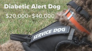 Family and friends raise money for dog to help loved one manage their diabetes