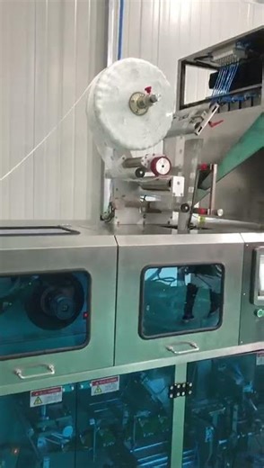 Pyramid and Flat Tea Bag Packaging Machine with Outer Envelope HS