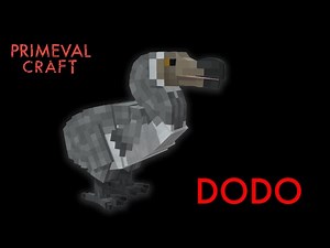 Dodo Showcase | Minecraft | Primeval Craft Addon