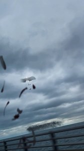 Crooked wings Angel #vfx | InsanePatient2