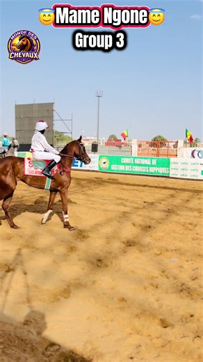 @𝐋𝐀𝐘𝐄 ᥫᩣ𝓰𝓷𝓲𝓷𝓰𝓾𝓮😻📸 @Yamar Gaye @✪ Course Hippique 🐎🇸🇳 @rétro course hippique✪