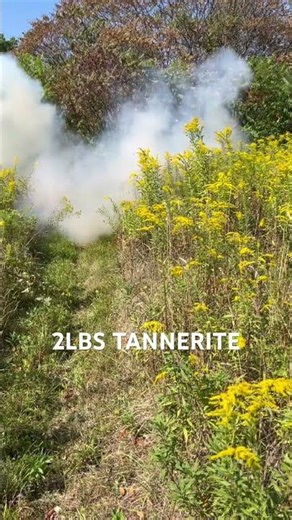 Tannerite vs Pumpkin #explosion #shootingrange