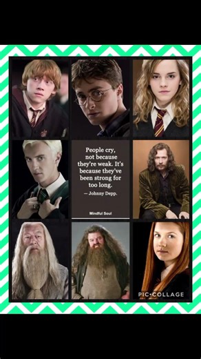 “Strong Hearts of Hogwarts 🪄 | Harry Potter Emotional Tribute | True Strength” #harrypotter #memes