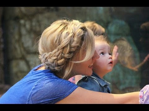 How to: Simplified Dutch Crown Braid