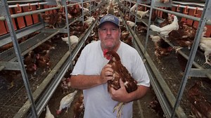 Bird flu, inflation threaten California egg farm