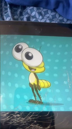 Bob Zoom Preview 2