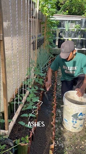 How to Make the Perfect Soil Mix for Healthy, Productive Plants #gardening