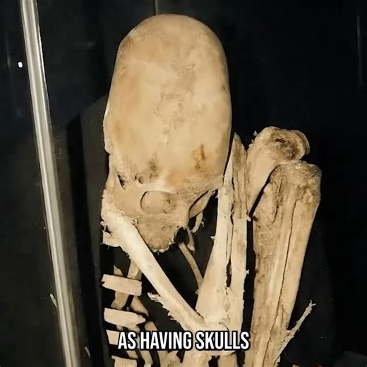 576K views · 19K reactions | The DNA Upgrade That Made Us! | The Why Files | Facebook