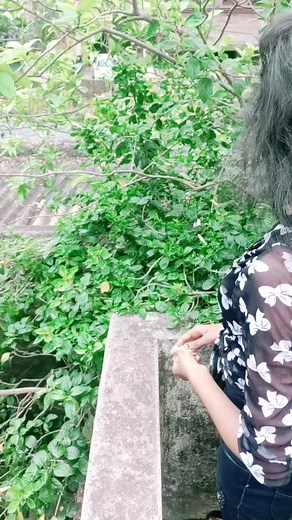 kie catch Kariba kuha?#sasmitasingh