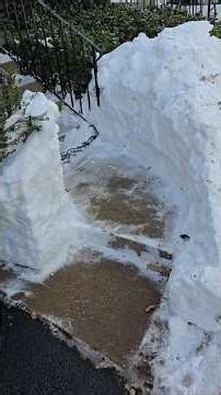 Pokémon Hobby #pokemon #tcg #tcgcommunity