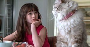 7 Rekomendasi Film Tentang Kucing. Jangan Ngaku Pecinta Kocheng Kalau Belum Nonton Film ini~