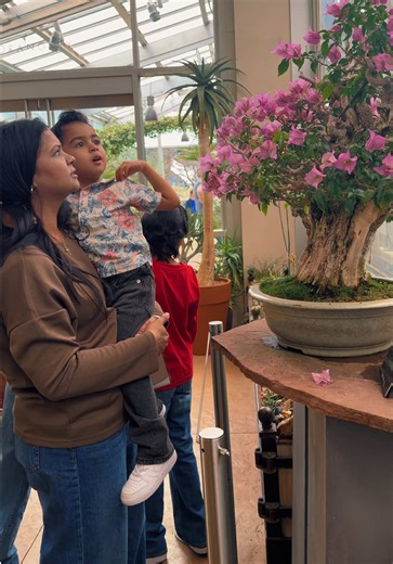 #mashigeet #fyp #judah #blessings #mashigeet @G.M Mattu @SARFRAZ MICHEAL @Luban Samuel Masih @Haroon Masih @Daimboy_ @🐰 @💖💖Mano_Barbie💖💖😸😸 @Ashbel Raja @Evengelist Vicky John @Evangelist Shahzad Masih @Darlene KB @glory to God 🙏 @Glory to Trinity of Pakistan @Gospel x worship @Greatness Markas masih 🔥🔥🔥