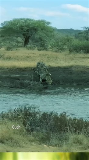 Crusty Left Sock on Instagram: "I hope he's ok."