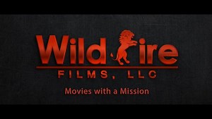 Movie Studio and Company Logos Compilation