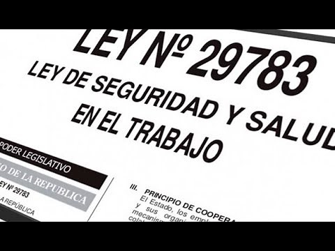 Principio, Objetivo de la ley 29783, Las SGSST, ESTUDIO EN LA EMPRESA QUALITY