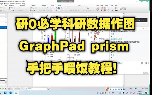 研0必学科研数据作图！GraphPad prism超详细手把手喂饭教程！