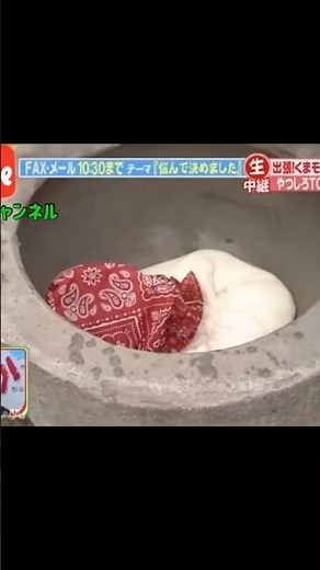 くまモン放送事故#くまモン#放送事故