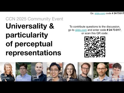 Universality and Particularity of Perceptual Representations