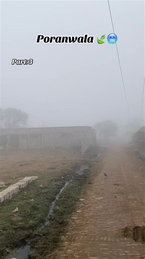 Discover Poranwala: Part 3 of Our Journey