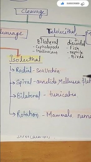 types of cleavage |holoblastic cleavage |meroblastic cleavage