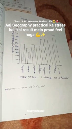 Class 12 4th Semester Student Life 🥺❤️‍🩹 | Geography Practical Stress 🤒 | Reality of Board Students