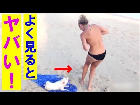 【面白映像】爆笑！！仰天おもしろ映像！【衝撃の瞬間】