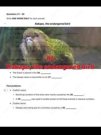 雅思听力真题：P4 - Kakapo 鸮鹦鹉（学名：Strigops habroptila）是鹦鹉科、鸮鹦鹉属的鸟类。 新西兰人叫“kakapo”，这是当地的毛利语，kaka即“鹦鹉”，po的意思是“夜”。#雅思 #雅思备考 #雅思听力 #雅思考试 #雅思备考