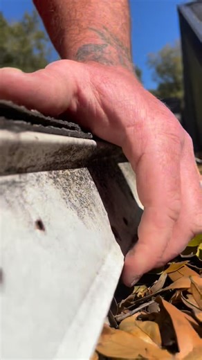 Florida Wildlife Solutions on Instagram: "Gutters create a unique opportunity for wildlife to have access to the edge of the home underneath the drip edge. They can eventually get enough space where they have the ability to chew on wood that gives them direct access to the attic space. 🐀 🐿️"
