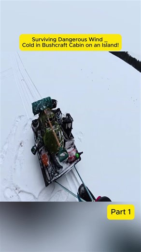 #cabin #cold #surviving #usa🇺🇸 | us cold weather