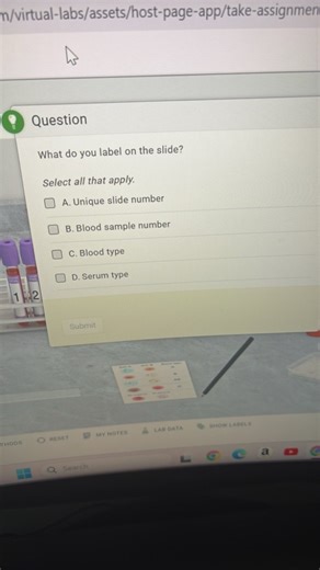 What do you label on the slide?  Select all that apply. A. Uniq... | Filo