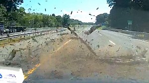 Tree falls onto unlucky motorist