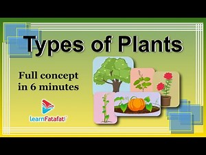 Class 6 Science Getting to Know Plants - Types of Plants - LearnFatafat