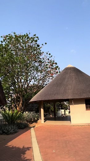 Jacob Zuma Traditional Attire and Cultural Celebrations