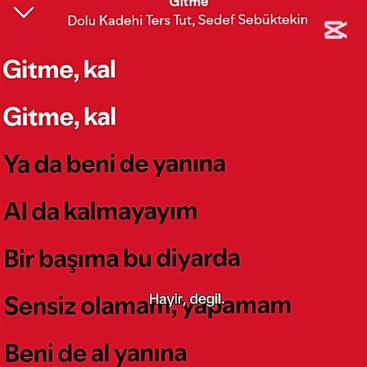 'kokun artık yok buralarda duyabilmemin bi yolu varda.'