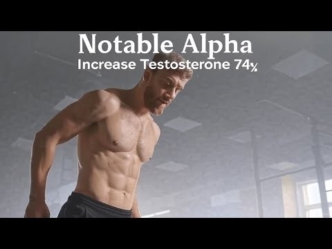 Notable Alpha Review: 74% Testosterone Boost in 90 Days? #NotableAlpha #testosteronebooster