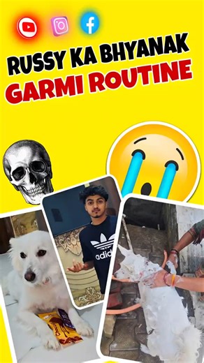 Russy garmi me ye krti h 😨🤯 || #shorts #vlogs #minivlogs #doglover