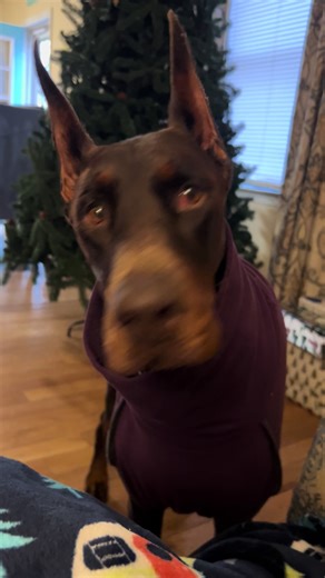 Annedavis (@annedavis174)’s videos with original sound - Annedavis